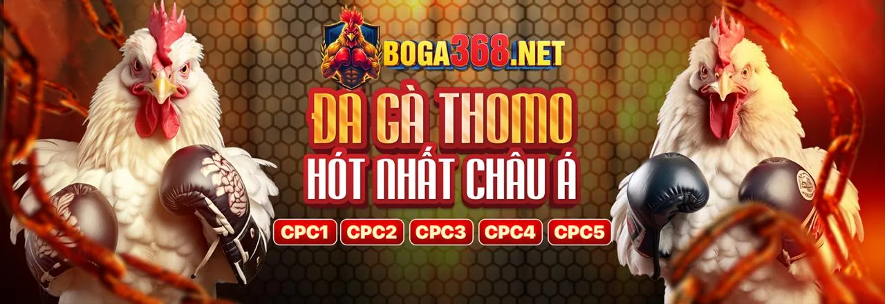 Đá Gà Trực Tuyến VB79